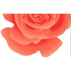 Meet your Posher, Rose